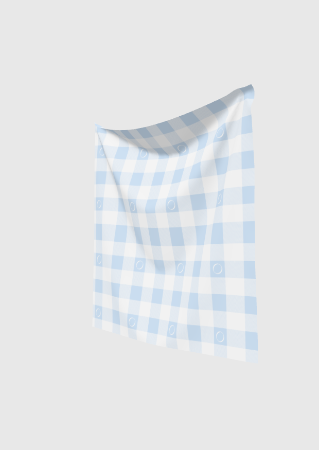Blue Gingham Scarf
