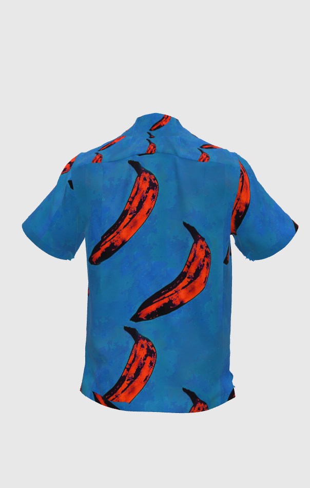 Warhol Vintage Blue Button Down