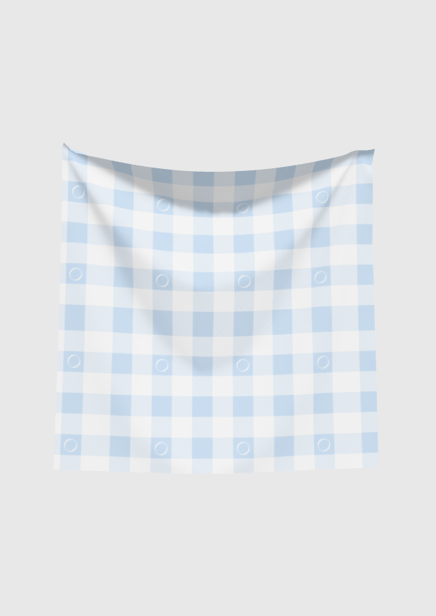 Blue Gingham Scarf