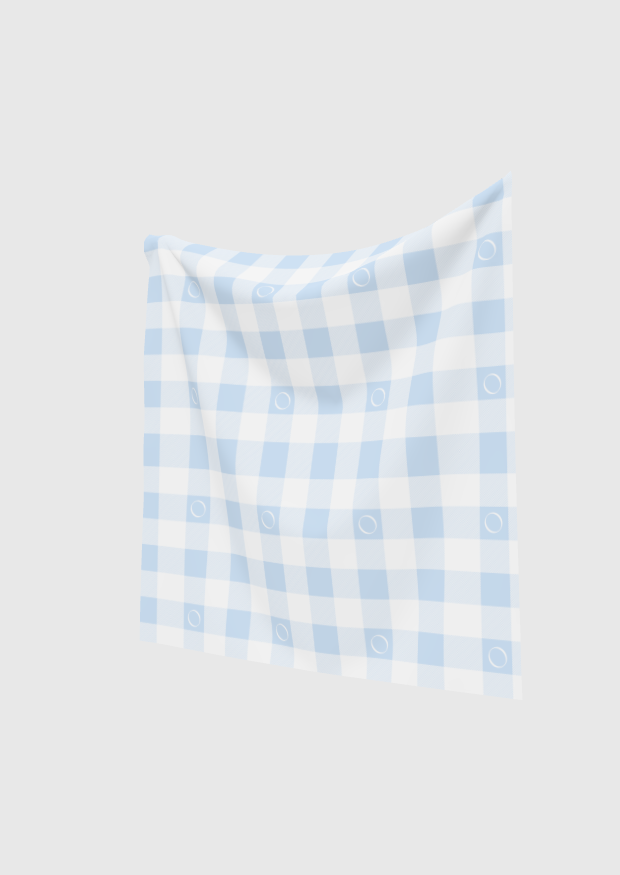 Blue Gingham Scarf