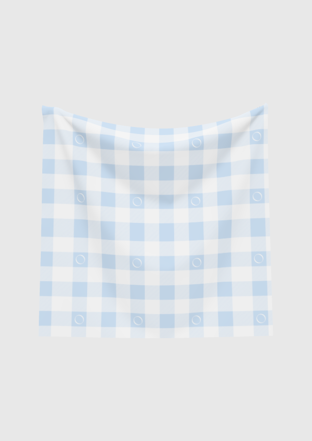 Blue Gingham Scarf