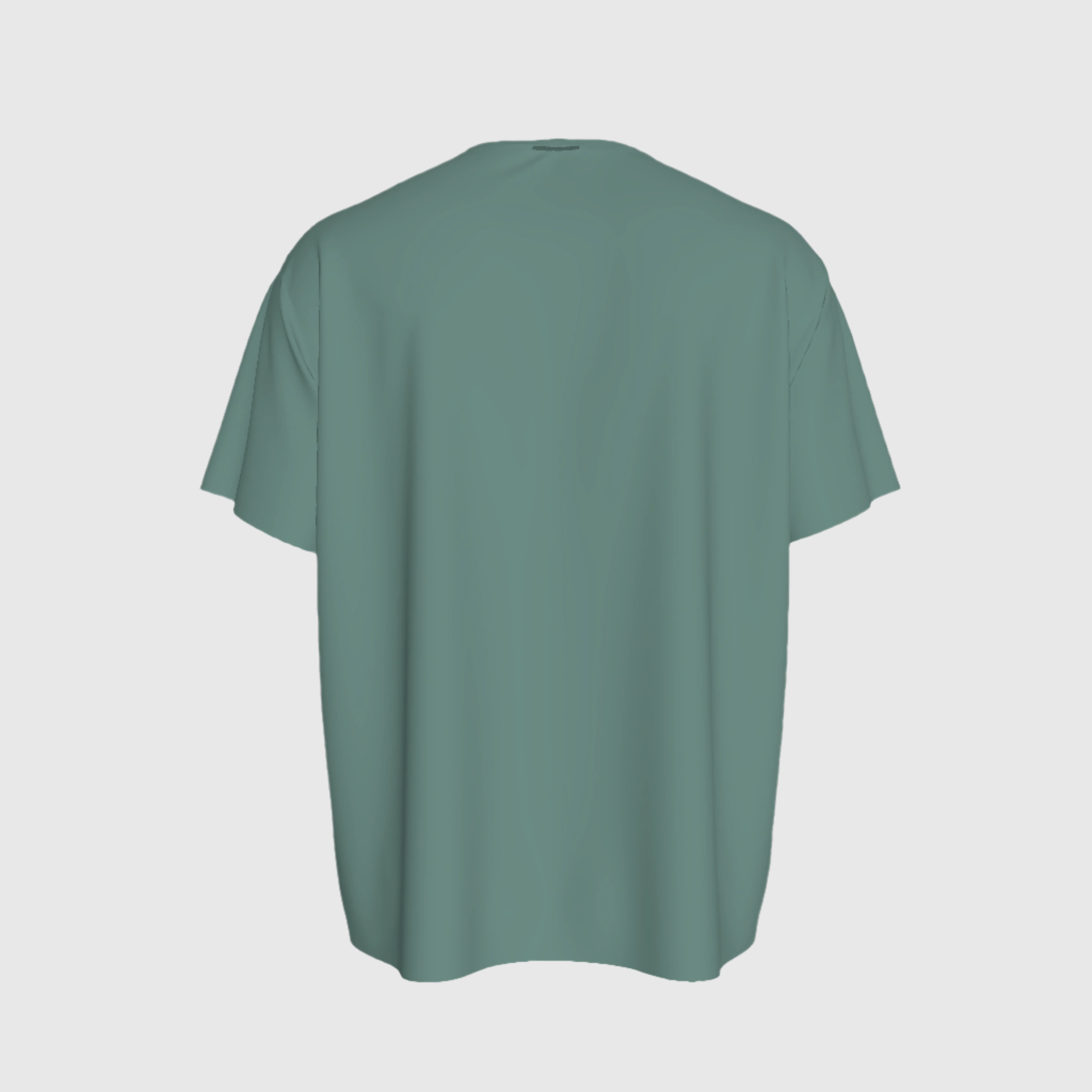 "The Wintry T-shirt" in Sage Green